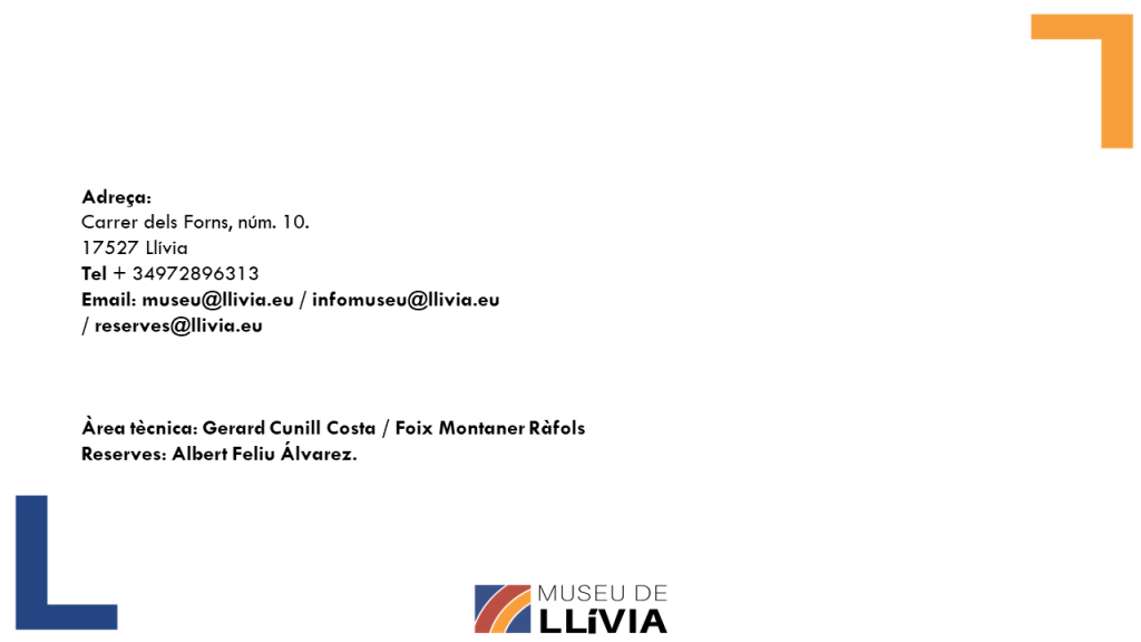 Diapositiva13