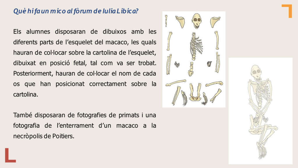 Diapositiva19