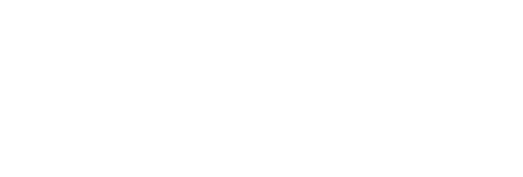 Logotip del Museu Municipal de Llívia, versió en blanc
