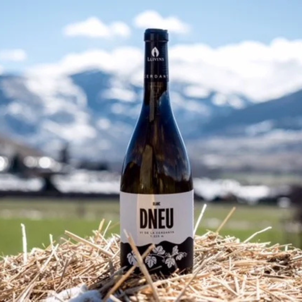 Ampolla de vi blanc de la Cerdanya sobre palla amb les muntanyes nevades al fons