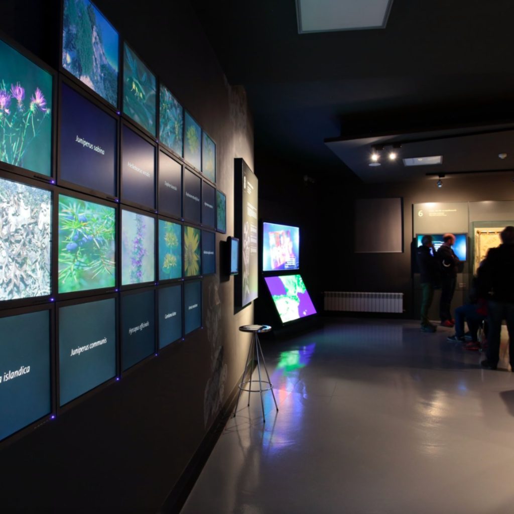 Sala multimèdia amb pantalles sobre la flora de la Cerdanya, visitants observant el muntatge